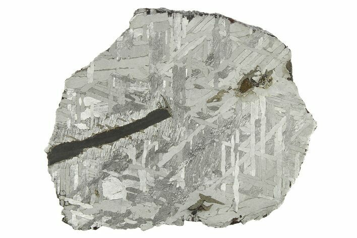 Etched Toluca Iron Meteorite ( g) Slice - Mexico #269607